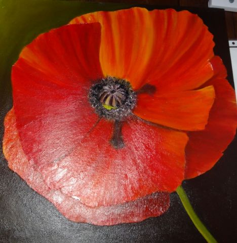 coquelicots